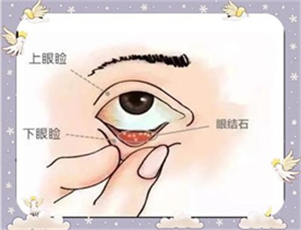 微信图片_2025-09-22_111213_488.jpg