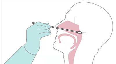 核酸检测鼻部位置图图片