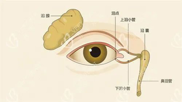 微信图片_20240703152439.jpg