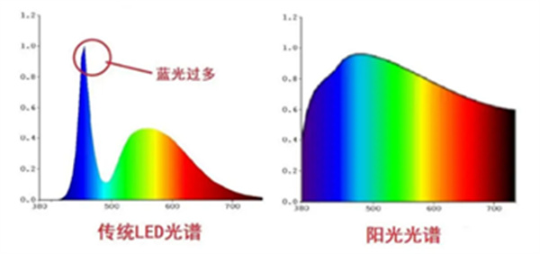 微信图片_20250217135422.jpg