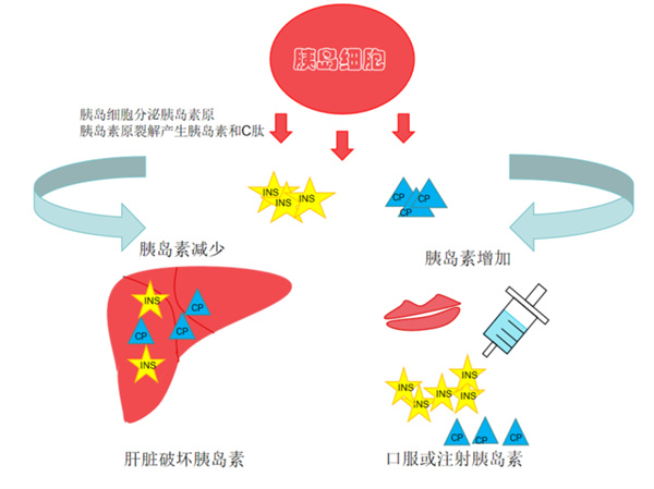 微信图片_20250317141420.jpg