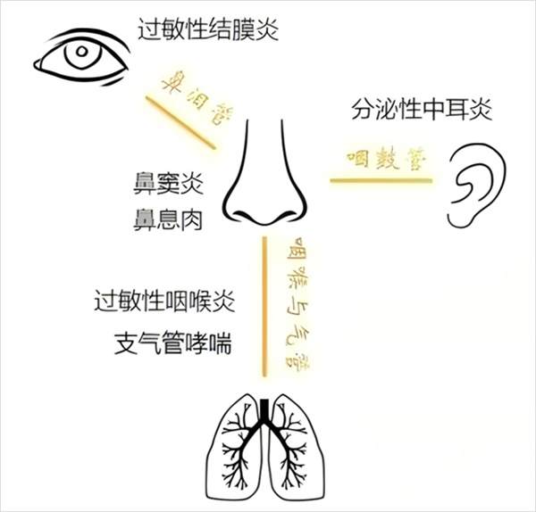 微信图片_20250514101730.jpg