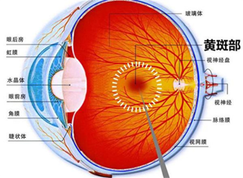 微信图片_20250515135112.jpg