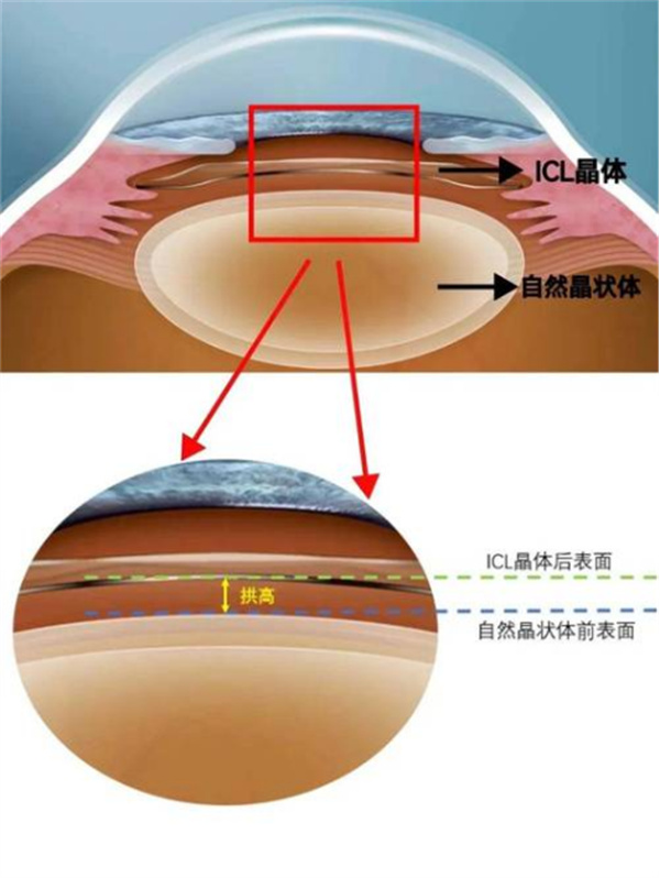 微信图片_20250605163423.jpg