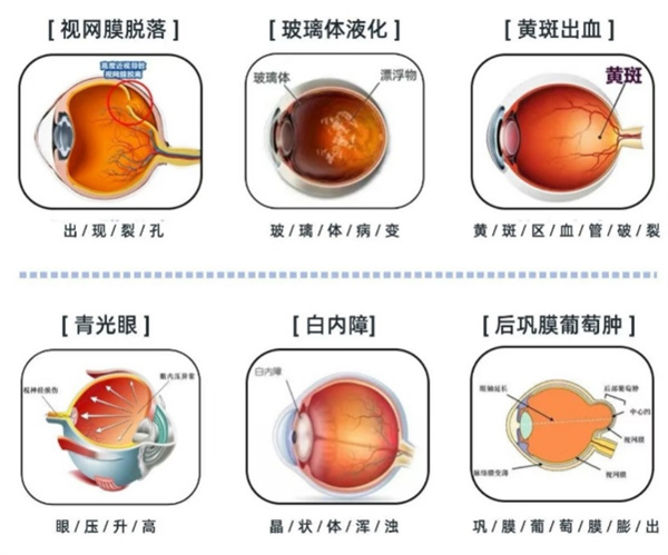 微信图片_20250612101044.jpg