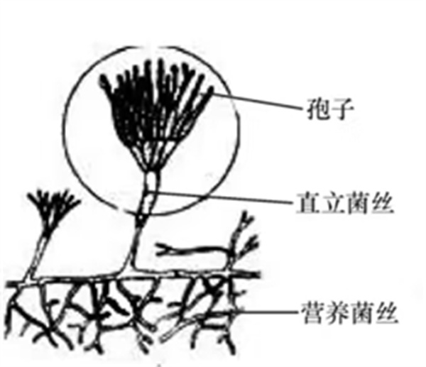 微信图片_20250619102136.jpg