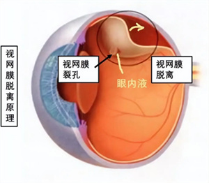 微信图片_20250624143116.jpg