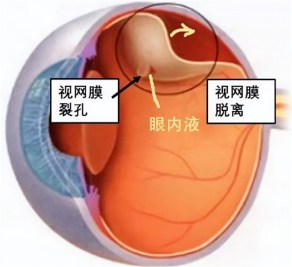 微信图片_20250717170747.jpg