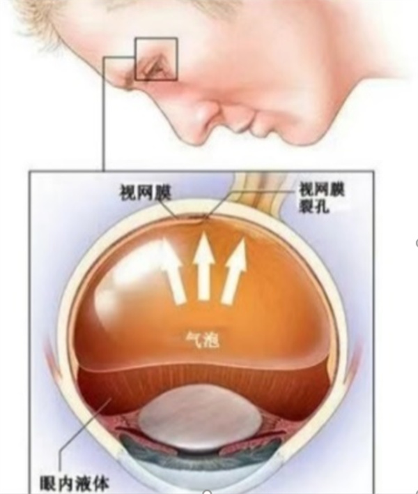 微信图片_20250717170751.jpg