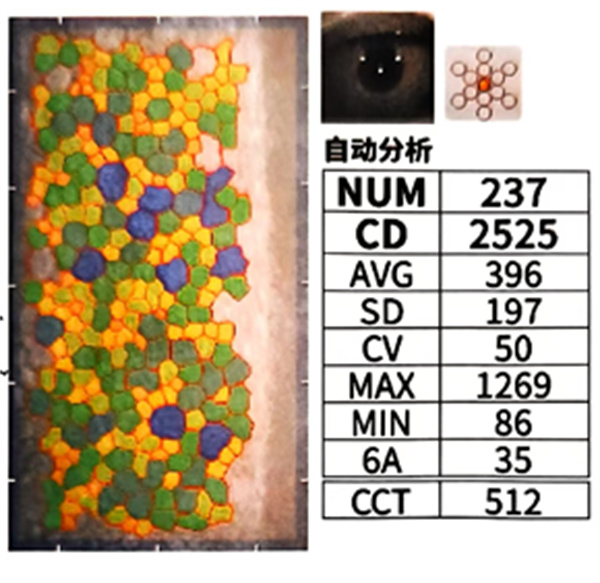 微信图片_20250801132441.jpg