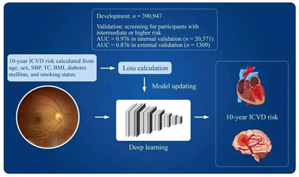 微信图片_2025-10-30_163040_897.jpg 微信图片_2025-10-30_163040_897.jpg