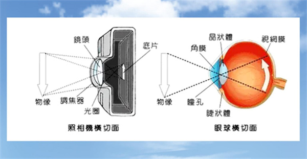微信图片_2025-10-30_163257_906.jpg 微信图片_2025-10-30_163257_906.jpg