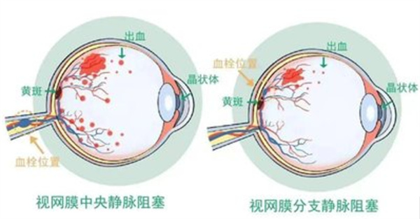 微信图片_2025-10-30_163307_054.jpg 微信图片_2025-10-30_163307_054.jpg