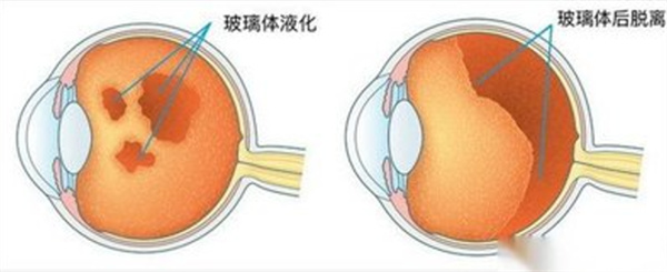 微信图片_2025-10-30_163308_618.jpg 微信图片_2025-10-30_163308_618.jpg