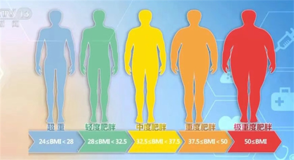 微信图片_2025-11-05_101128_730.jpg 微信图片_2025-11-05_101128_730.jpg