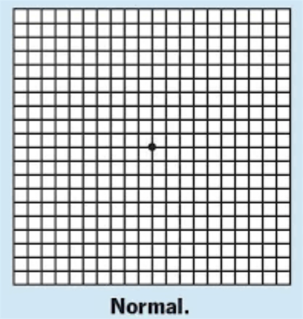 微信图片_2025-11-14_094328_737.jpg 微信图片_2025-11-14_094328_737.jpg