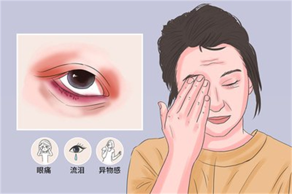 微信图片_2026-09-15_104533_463.jpg